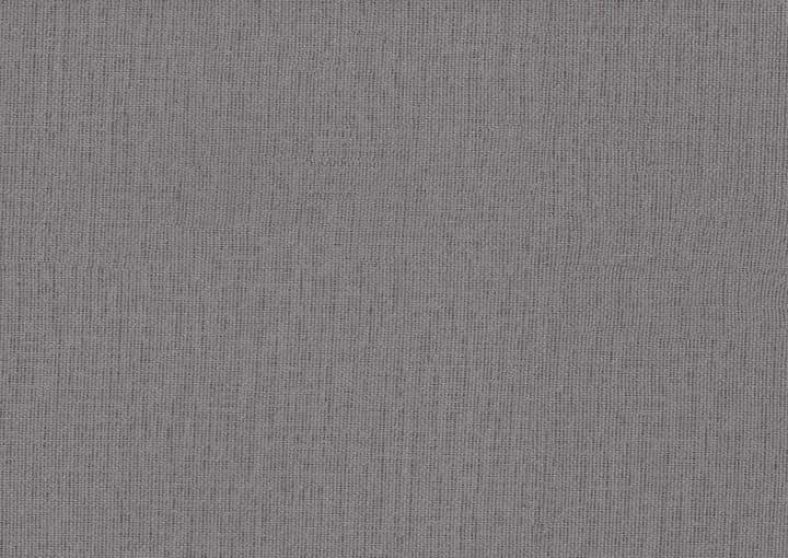 OWMN-G026 الرمادي الساحلي