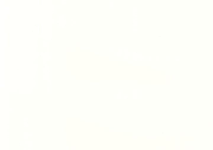 OWMN-L037 Pearl Beech