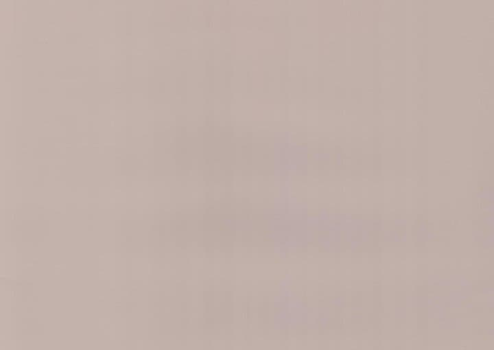 Pearl Oak PVC film surface — wood-grain close-up swatch