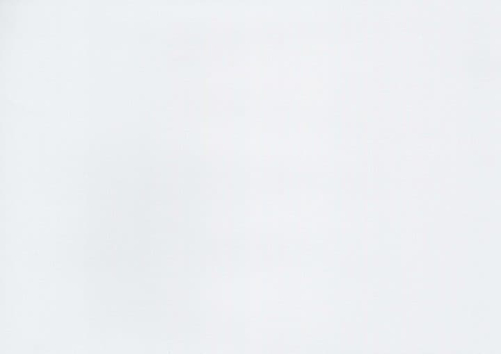 Whitewashed Oak PVC film surface — wood-grain close-up swatch