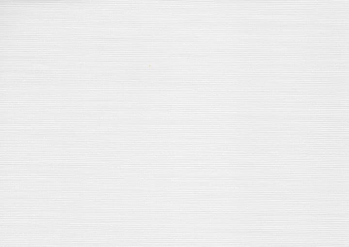 Bone White PVC film surface — wood-grain close-up swatch